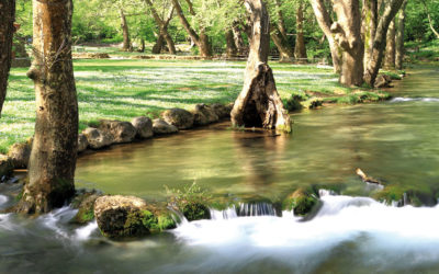 Sorry, No Beaches: Naoussa Promotes Another Kind of Tourism