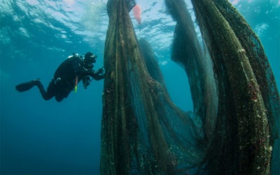 Marine Protection Group Removes Two Tons of Ghost Nets from Greek Seabed