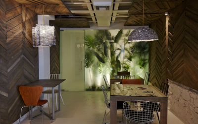 Shedia Home Opens its Doors, and Arms, to the People