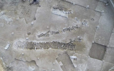 Ancient Mass Grave in Faliro Moves Closer to Being Open to Public