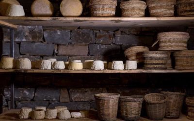 Mitata: the Origins of Cretan Cheesemaking