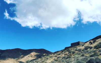 Phenomenon 3: Anafi Festival to Examine Art’s Role in Age of Populism