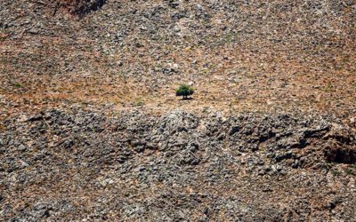 Crete’s Sfakia: Land of Resistance