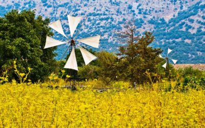 Crete’s Lasithi Plateau: Land of Zeus and Windmills