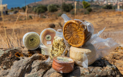 What to Eat on Aegina Island this Summer