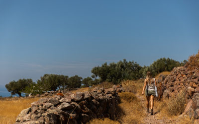 Travelers’ Preferences Shift Due to Covid