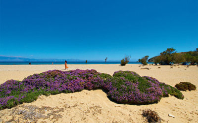 PM: Greece Will be Better Prepared for Second Wave of Covid-19