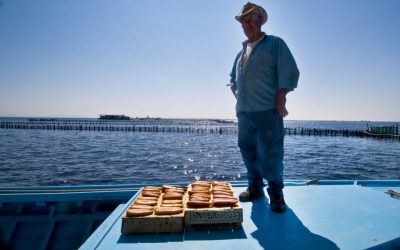 “Greek Caviar”: This is How Messolongi Avgotaracho is Made