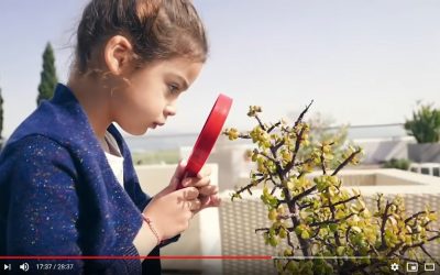 How TIFF’s “Spaces # 1” Project Turned Me into a Casual Philosopher