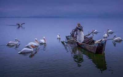 My Favorite Shots: Greece’s Incredible Lakes & Wetlands