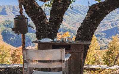 How to Make Greek Savory Pies from Epirus With Filo Pastry