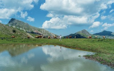 The Pristine Landscape of the Mountainous Region of Agrafa
