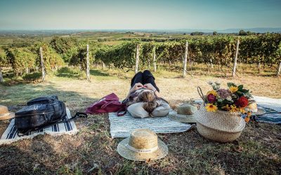 Naoussa: The Greek Napa Valley