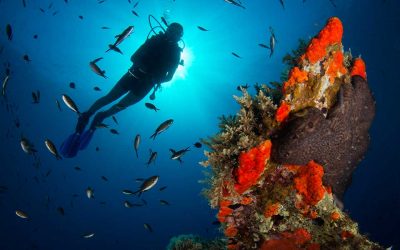 Two Ambitious Diving Parks Green-Lit in Boost for Diving Tourism