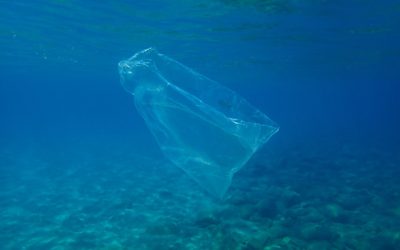 “Hackathon” Aims to Replace Single-Use Plastics in Greece