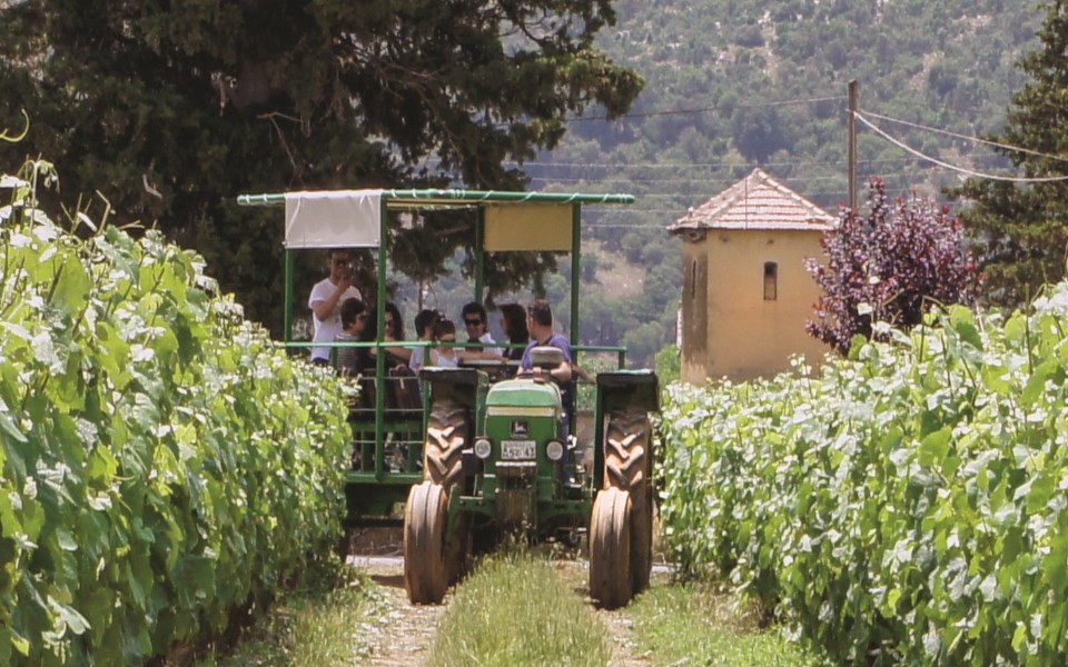 wine tours peloponnese