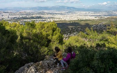 Athens Walks: A Hike to Anthousa Tower on Mount Ymittos