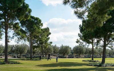 Athens Walks: From Gazi to the SNFCC Along a Bicycle Lane