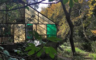 Athens Walks: A Pleasant Descent from Mount Penteli