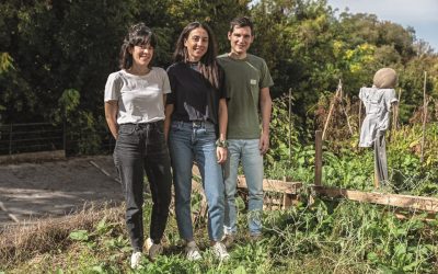 Made in Thessaloniki: 5 Enterprises Where Tradition Meets Innovation