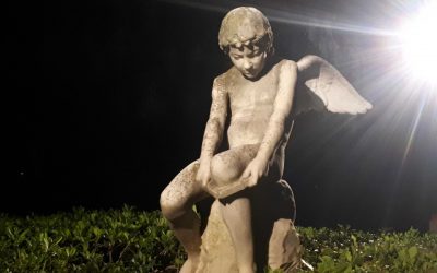 Zappeion Statues Come Into the Light