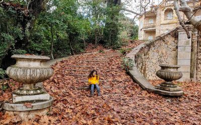 Athens Walks: Exploring the Former Royal Estate at Tatoi