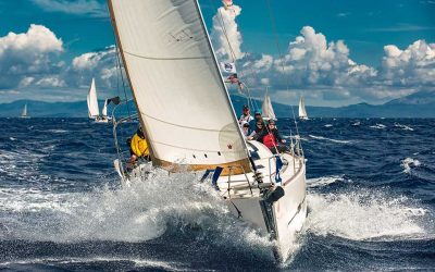 Hail, O Hail Humanity!