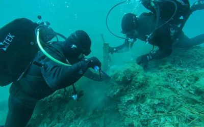 Navy Special Forces Defuse Underwater WWII-Era Bombs
