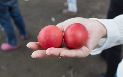 Easter Appeal from The Hellenic Initiative: Donate to Feed Less Fortunate