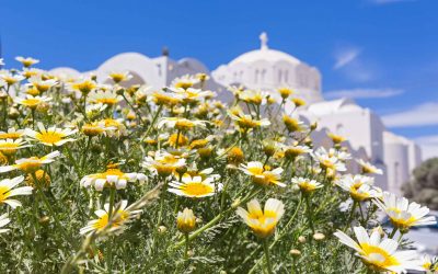 Summer Weather Expected on Orthodox Easter