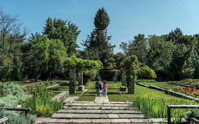 Athens Walks: Exotic Trees and Plants in the Western Suburbs