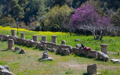 The Unknown Oracle of Attica