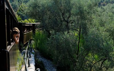 Mount Pilio Heritage Train Blowing its Whistle Again