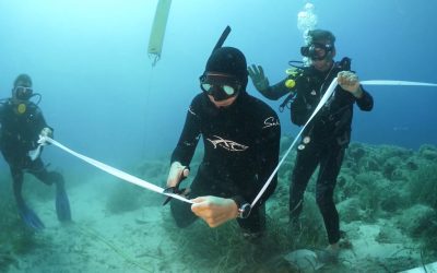 Three Underwater Museums Set to Launch in Greece