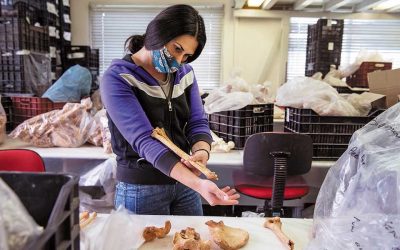 Giving Voice to the Ancient Thessalonians