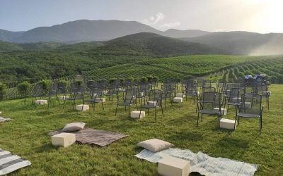 Movie Nights at the Vineyard