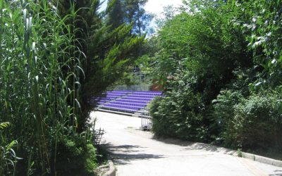 Rematia Theater Opens Week-Long Program of Free Events