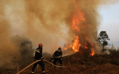 “Unprecedented”: Massive Forest Fire Continues to Ravage Greek Island