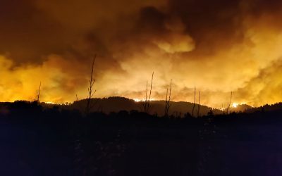Wildfires in Greece: A Call for Help