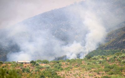 Over 20 Villages Evacuated in Gortynia, Peloponnese