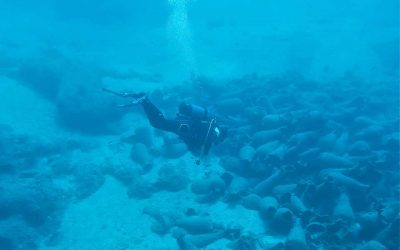 Underwater Research in Palekastro Bay, East Crete