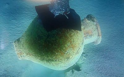 Deepwater Shipwreck Sheds New Light on the History of Magna Graecia