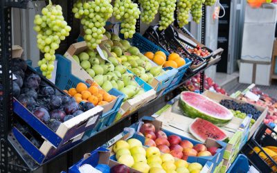 Tomatoes and Watermelon: a Seasonal Guide to Greek Produce