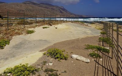 Oldest Footprints in the World Studied on Crete