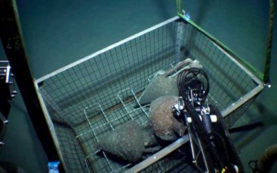 Classical-Era Shipwreck Discovered in the Strait of Kythera