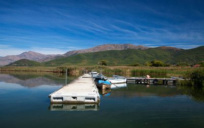 Lake Prespa, Northwest Greece: Wildlife on the Borders