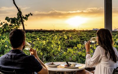 Greek Wine on the Rise