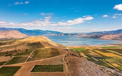 The Xinomavro Zone: Wines and Gastronomy of the Amyntaio Plateau