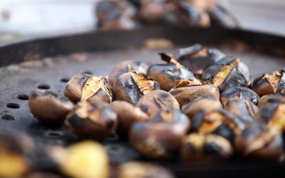 Chestnut Recipes that Make it Feel Like Christmas