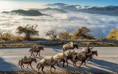 Discovering the Wildlife of Nymfaio, Western Macedonia